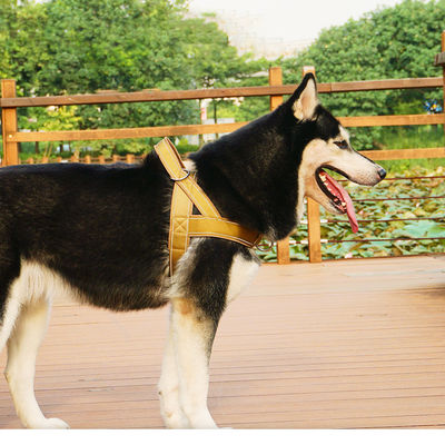 OEM Odm Custom Dog Accessories Leash And Harness Collar Tactical Designer Custom Safety Pet Dog Harness Set Dog Pet Harness Поставка для собак и домашних животных